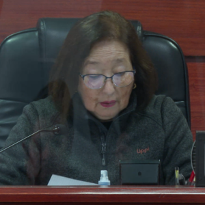 Picture of Elvira Muñoz